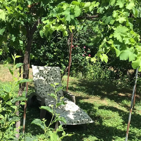 La Casita - Deux Pieces Dans Jardin - Piscine, Terrasse Et Parking Prive Accommodatie bij particulieren Lorgues